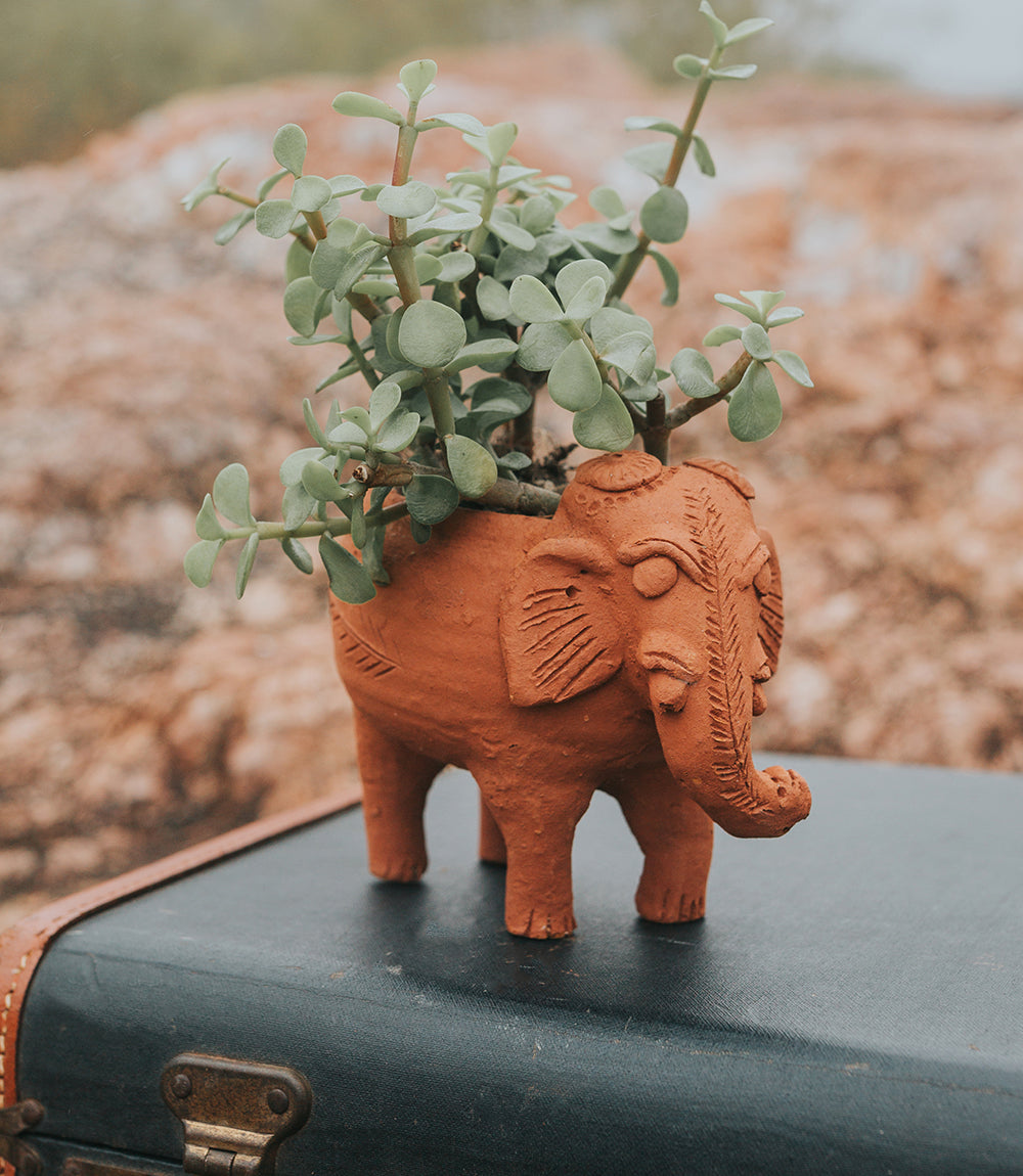 Rakshana Elephant Plant Pot - Terracotta by Matr Boomie