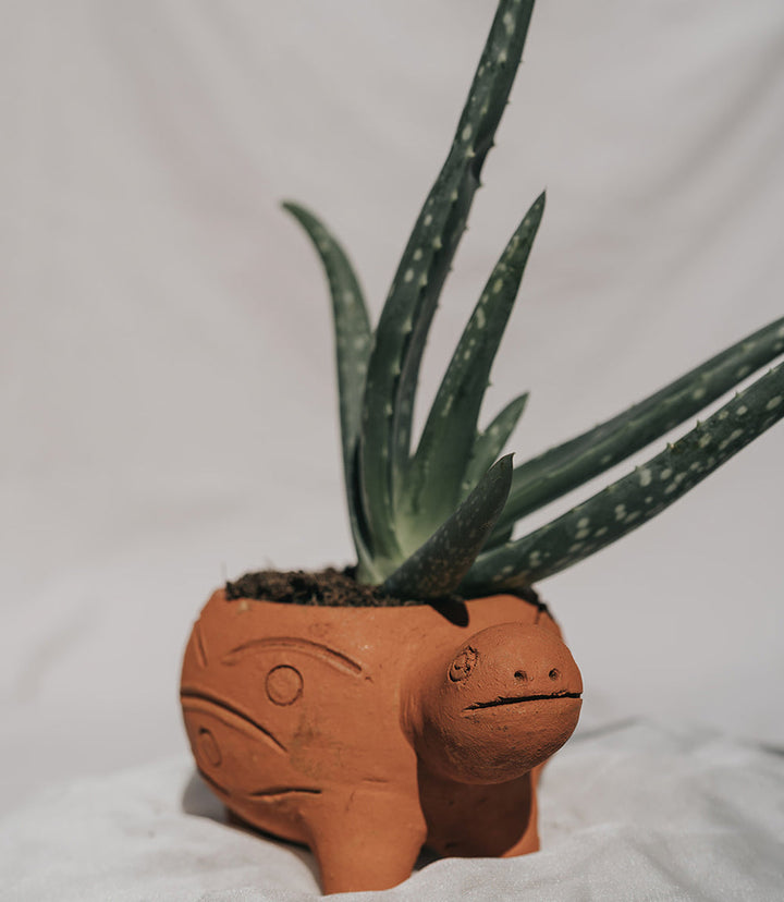 Rakshana Turtle Plant Pot -  Terracotta by Matr Boomie