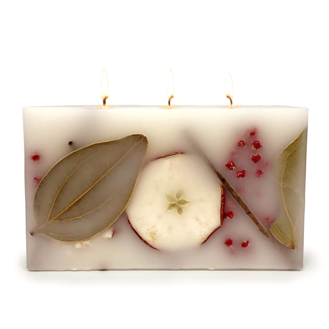 Harvest Cider 3 Wick Brick Botanical Candle by Andaluca Home