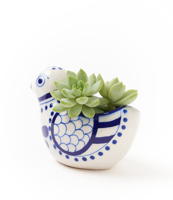 Lalita Bird Succulent Planter - White, Blue Hand Painted by Matr Boomie