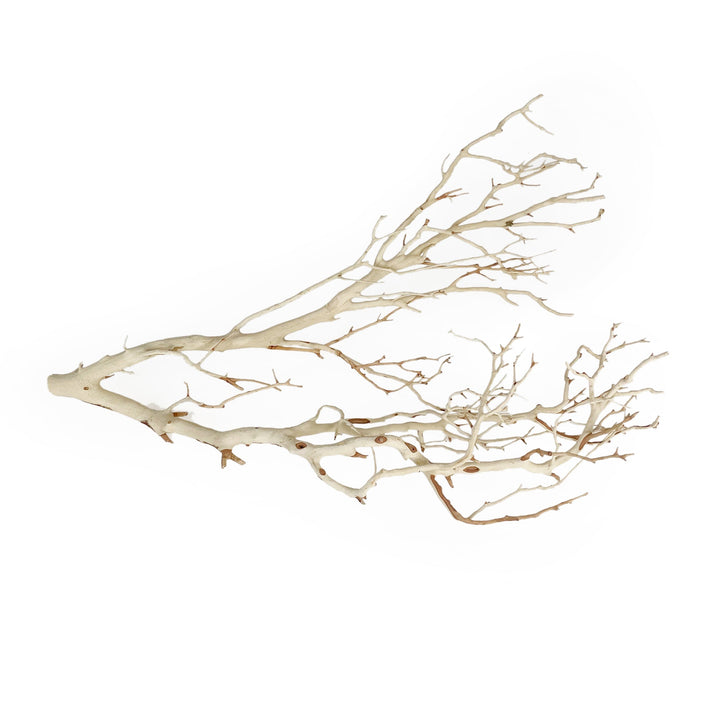 Manzanita Sandblasted Branches 22-26" by Andaluca Home