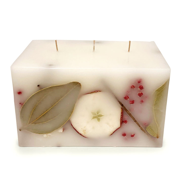 Harvest Cider 3 Wick Brick Botanical Candle by Andaluca Home