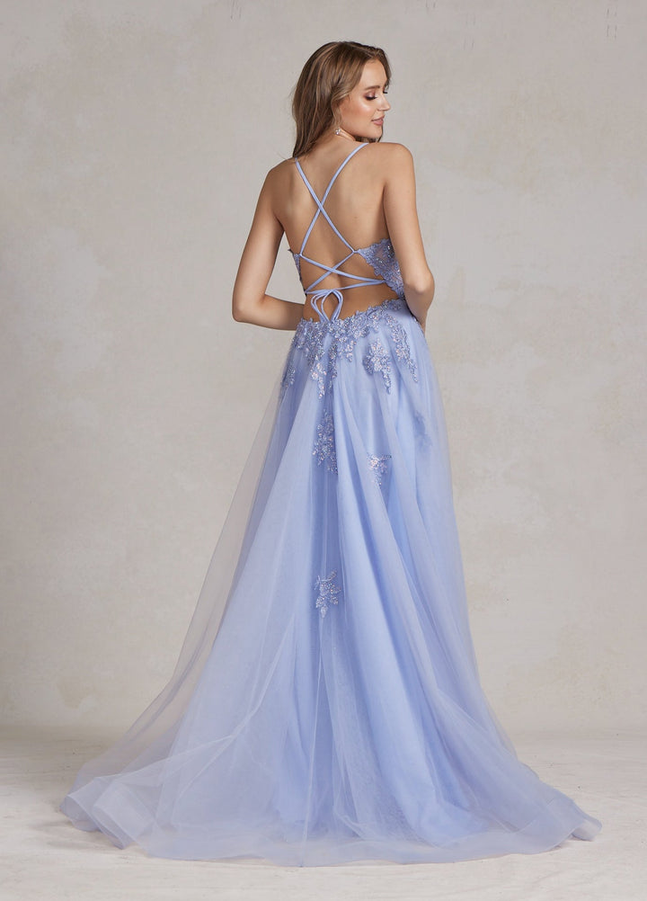 A-Line Tulle Skirt Embroidered Lace Long Prom Dress NXG1149