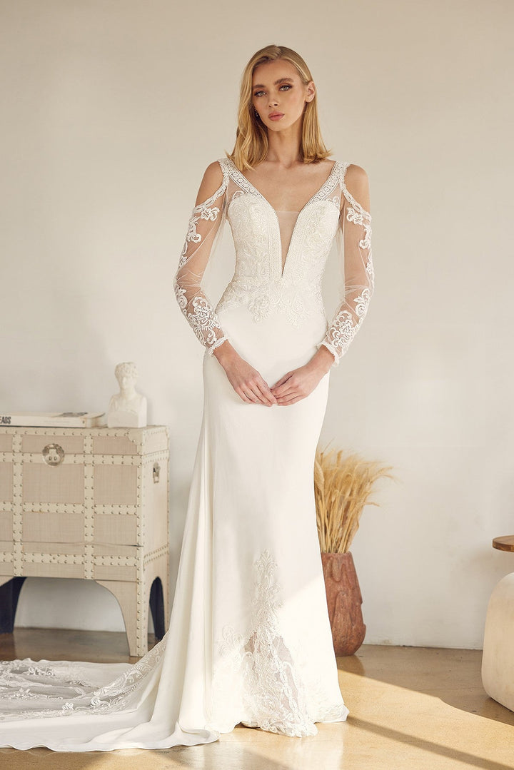 Embroidered Lace Illusion V-Neck Long Wedding Dress NXJE916