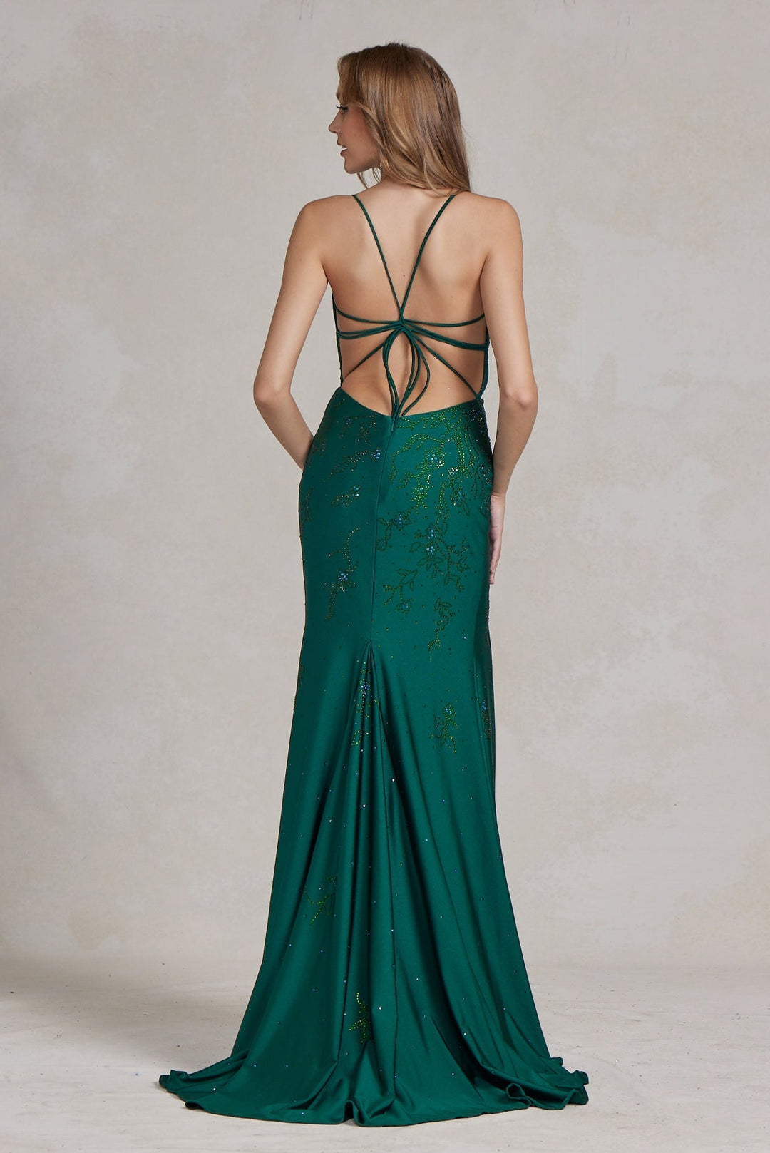 Embroidered Flowers Open Criss Cross Back Illusion V-Neck Long Evening Dress NXE1206