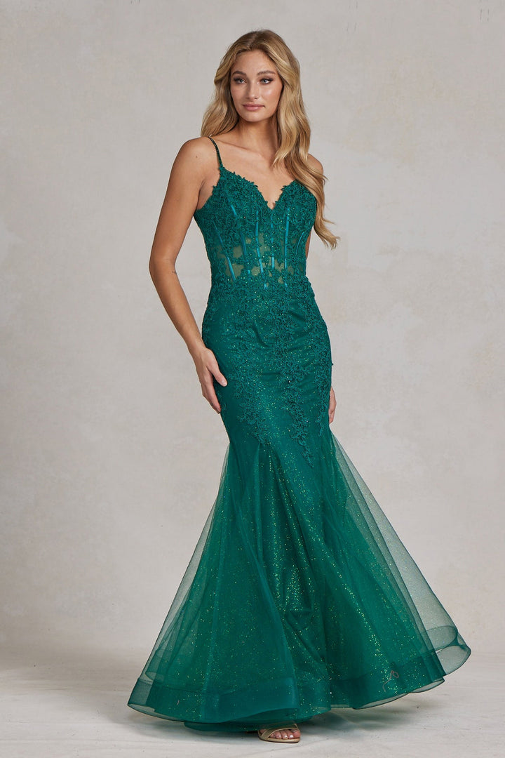 Embroidered Bodice Tulle Skirt Mermaid Long Prom Dress NXP1170