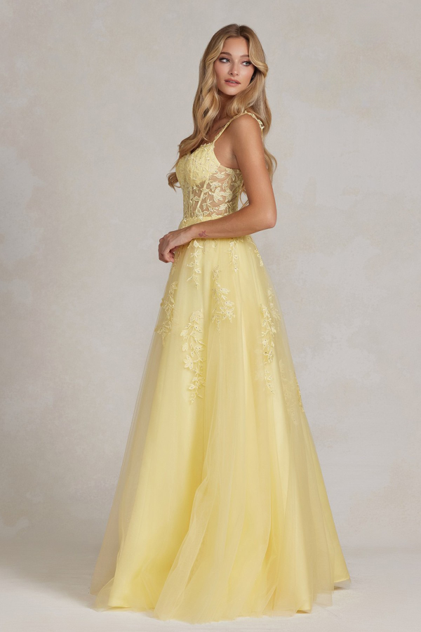 A-Line Embroidered Bodice Sweetheart Open Back Long Prom Dress NXT1082