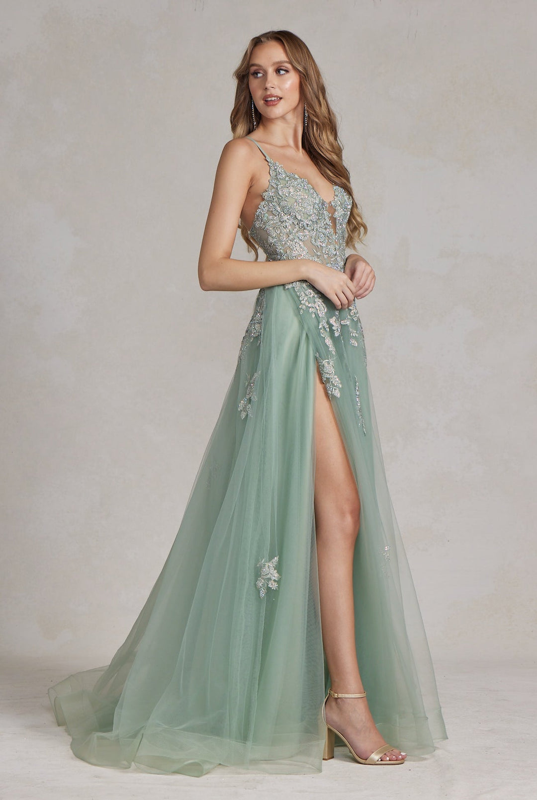 A-Line Tulle Skirt Embroidered Lace Long Prom Dress NXG1149