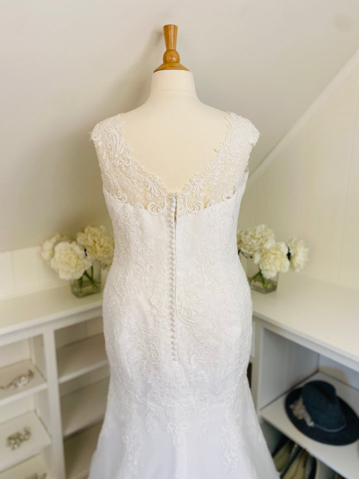 The 'Daphne Lynette' Gown by Rebecca Ingram Size 22