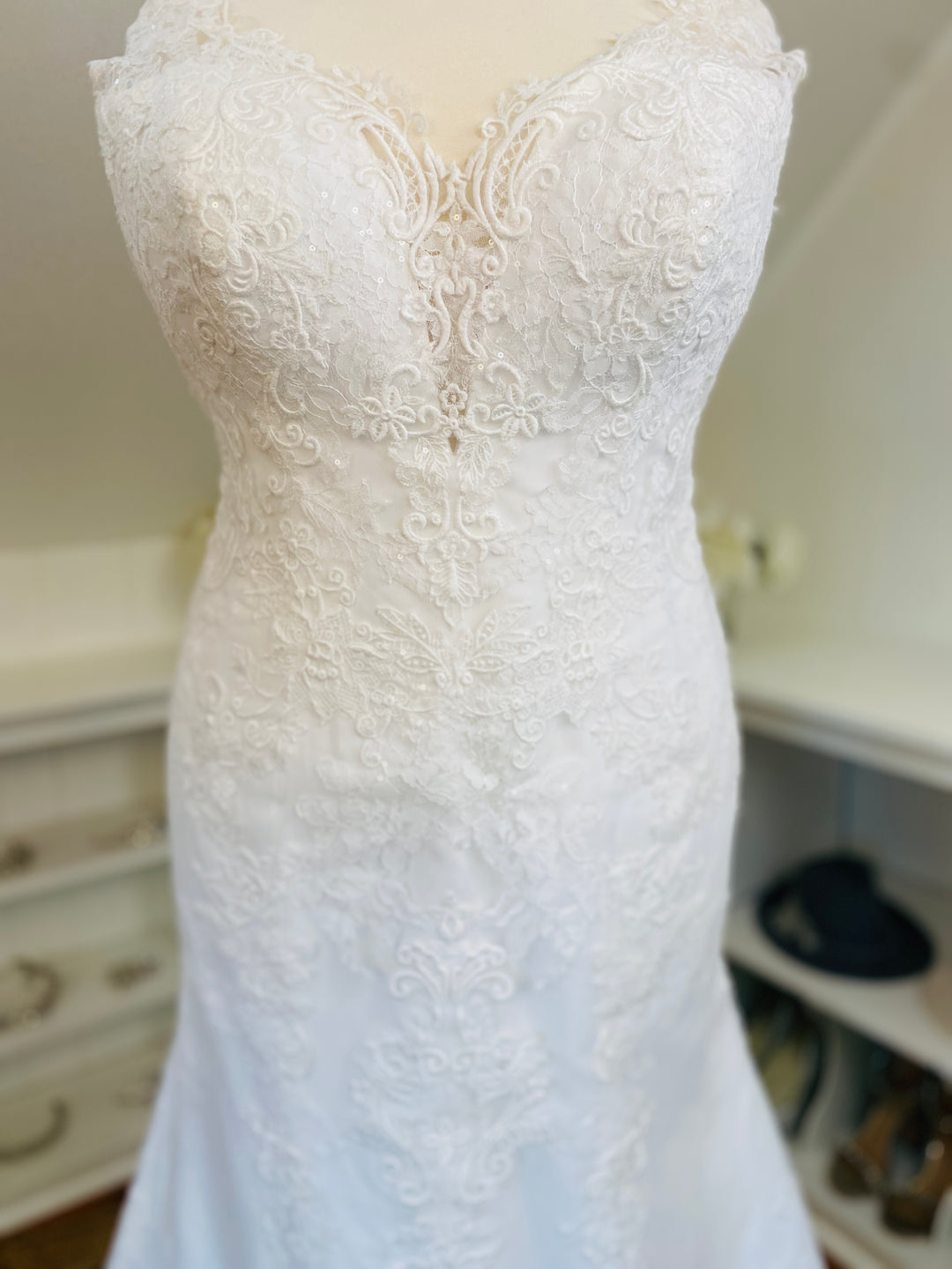 The 'Daphne Lynette' Gown by Rebecca Ingram Size 22