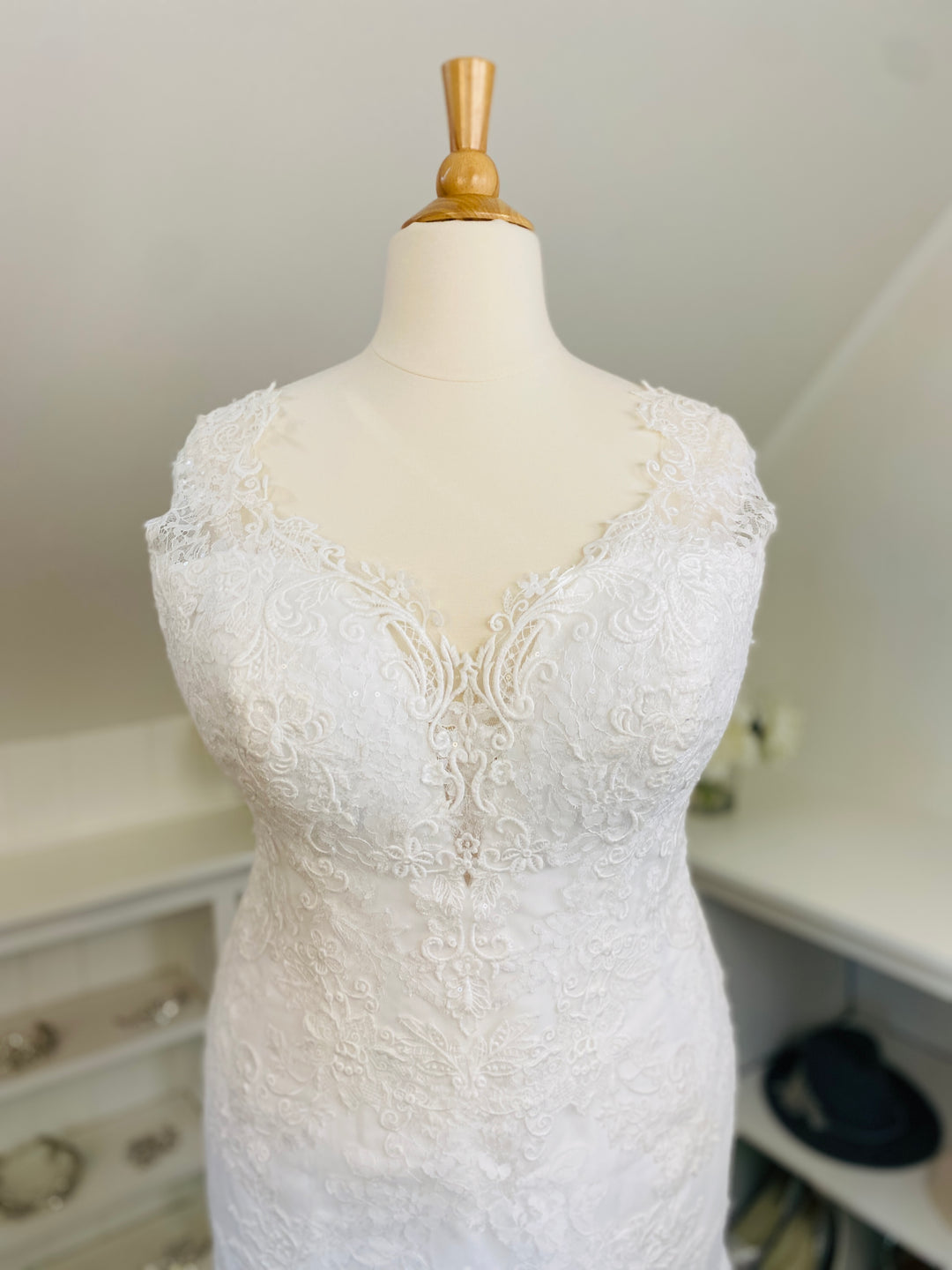 The 'Daphne Lynette' Gown by Rebecca Ingram Size 22