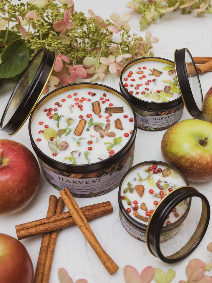 HARVEST Apple Spice Candle by Ash & Rose