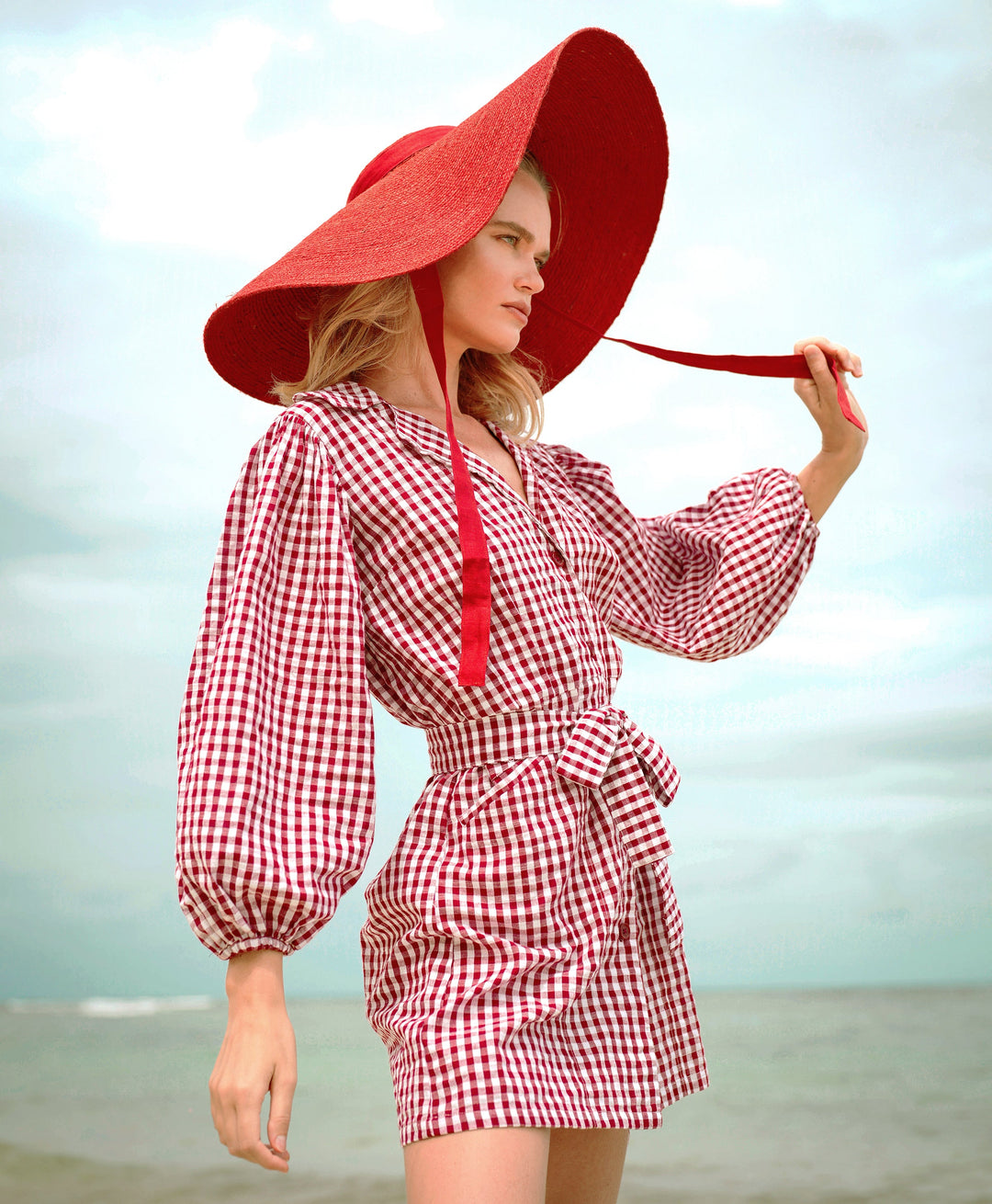 MEGHAN Mini Gingham Dress, in Red by BrunnaCo