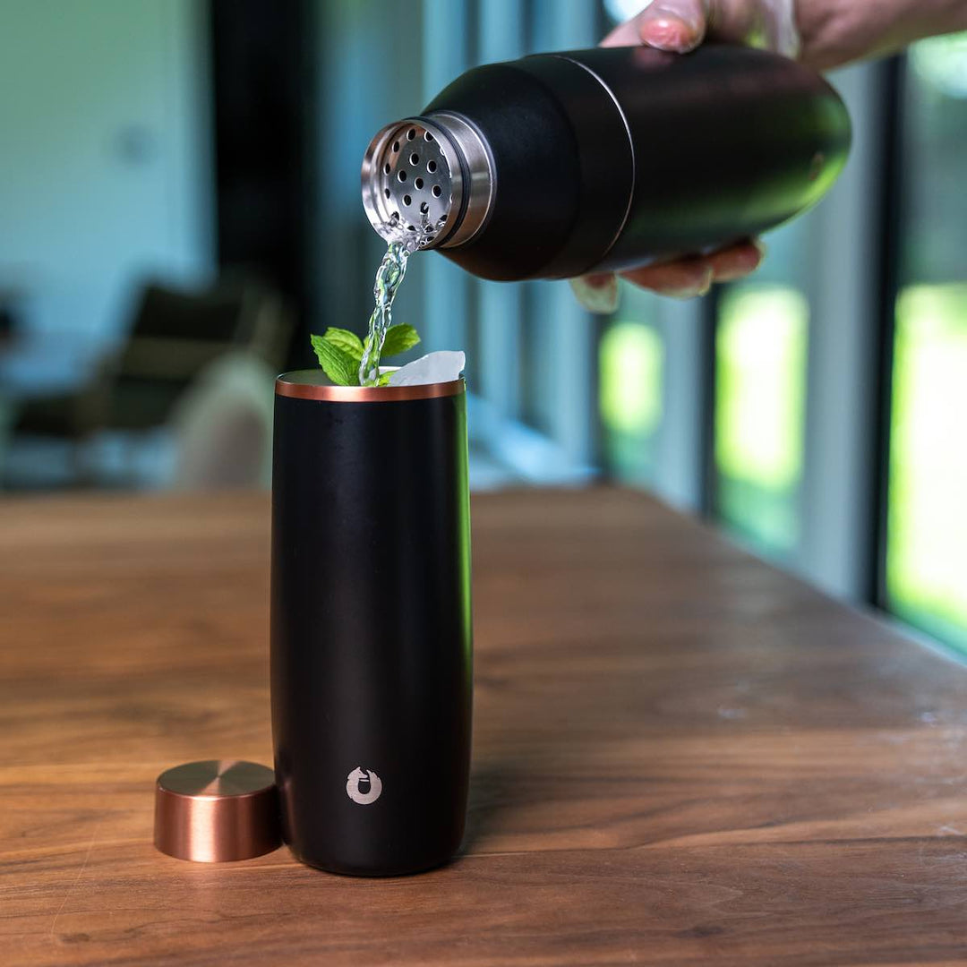 Stainless Steel Cocktail Shaker, Black by Snowfox