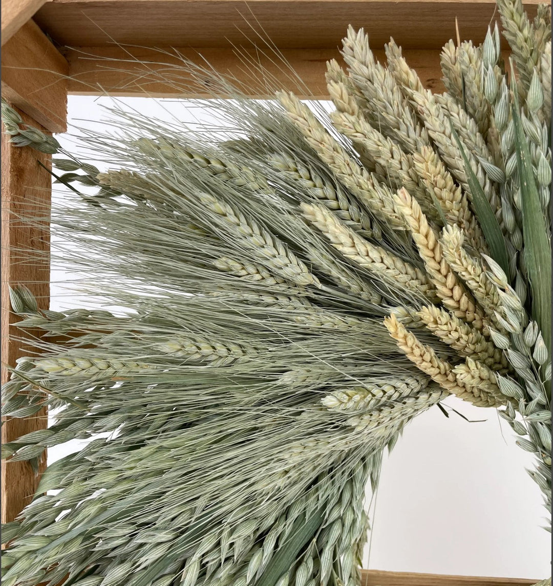 Green Grains Clustered Wreath by Andaluca Home