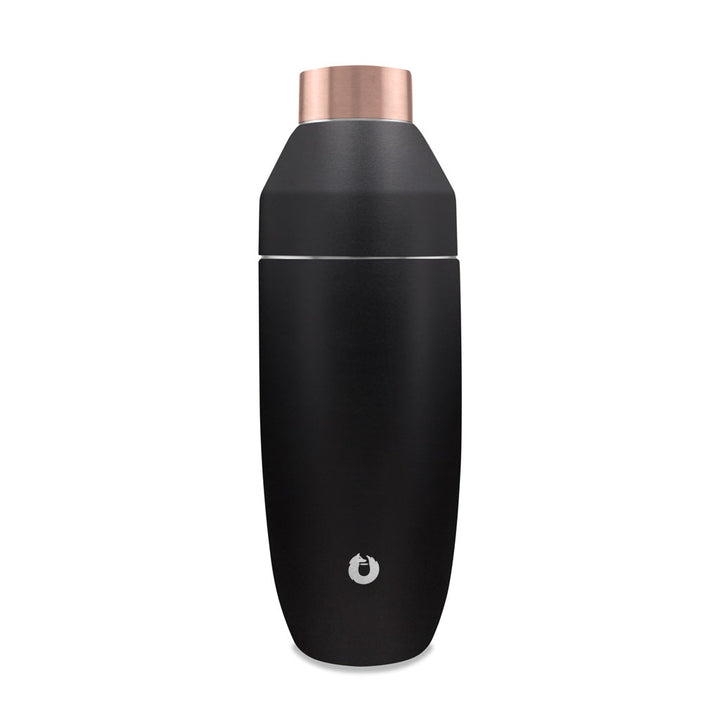 Stainless Steel Cocktail Shaker, Black by Snowfox