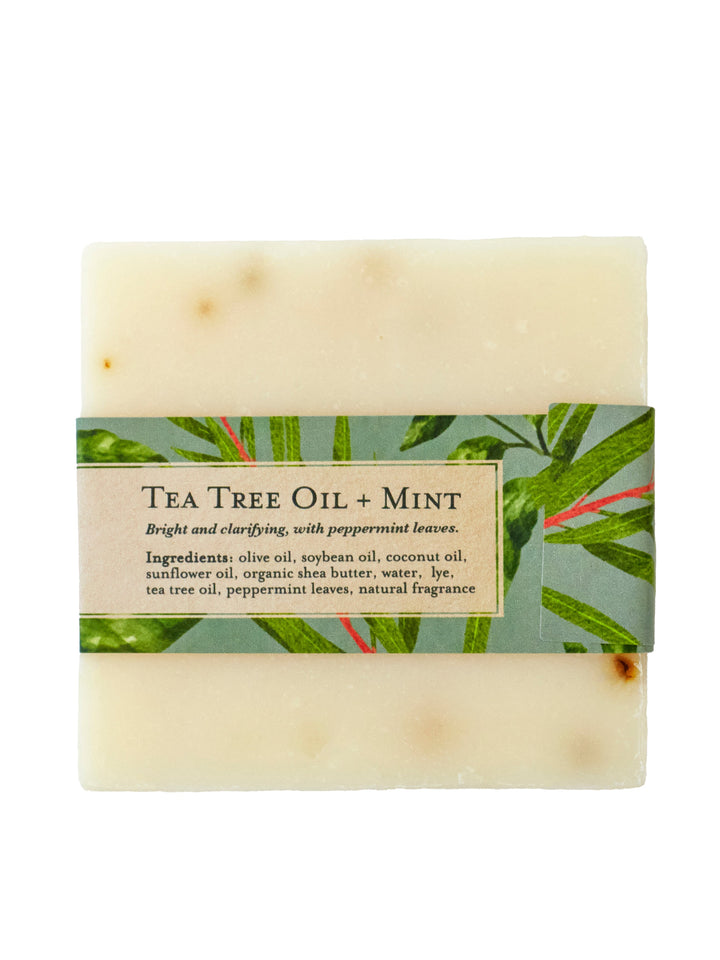 Tea Tree Mint Soap Scrub Bar by Ash & Rose