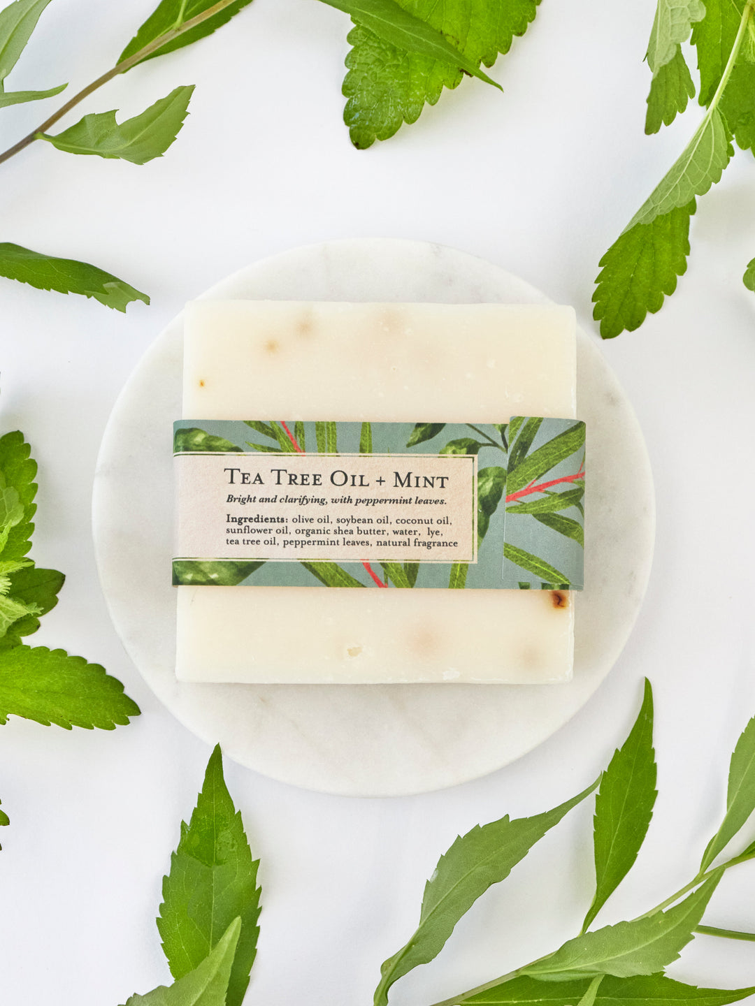 Tea Tree Mint Soap Scrub Bar by Ash & Rose