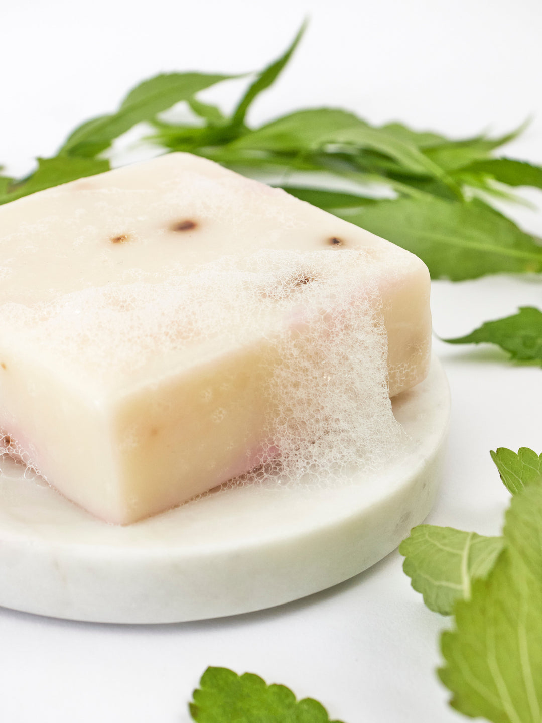 Tea Tree Mint Soap Scrub Bar by Ash & Rose