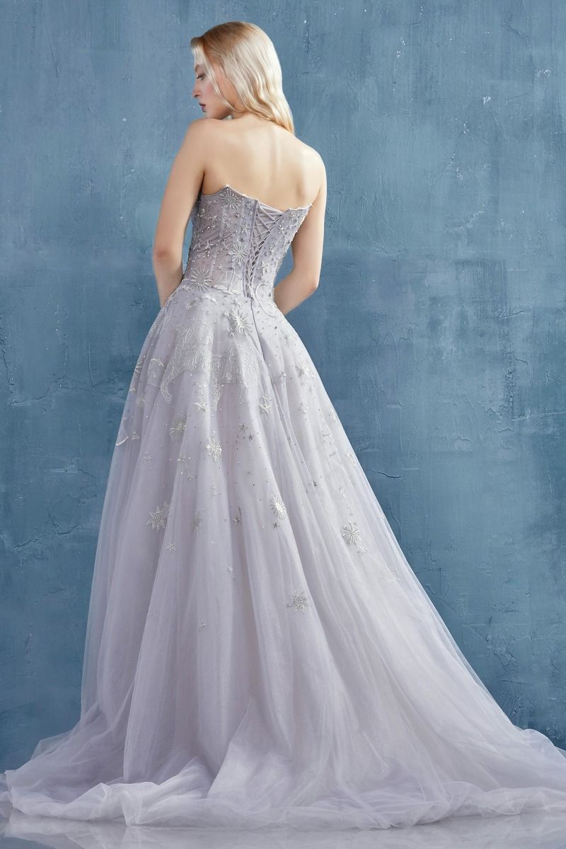 Constellation Selene Tulle Straight Across Mid Open Back A-line Long Prom & Ball Dress CDA0890