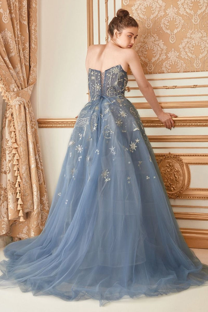 Constellation Selene Tulle Straight Across Mid Open Back A-line Long Prom & Ball Dress CDA0890