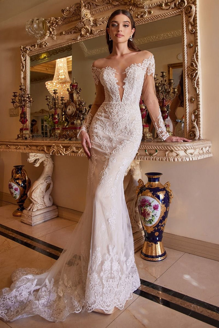 Bohemian Lace Mermaid Deep Illusion V-neck Long Sleeves Long Wedding Dress CDA1022