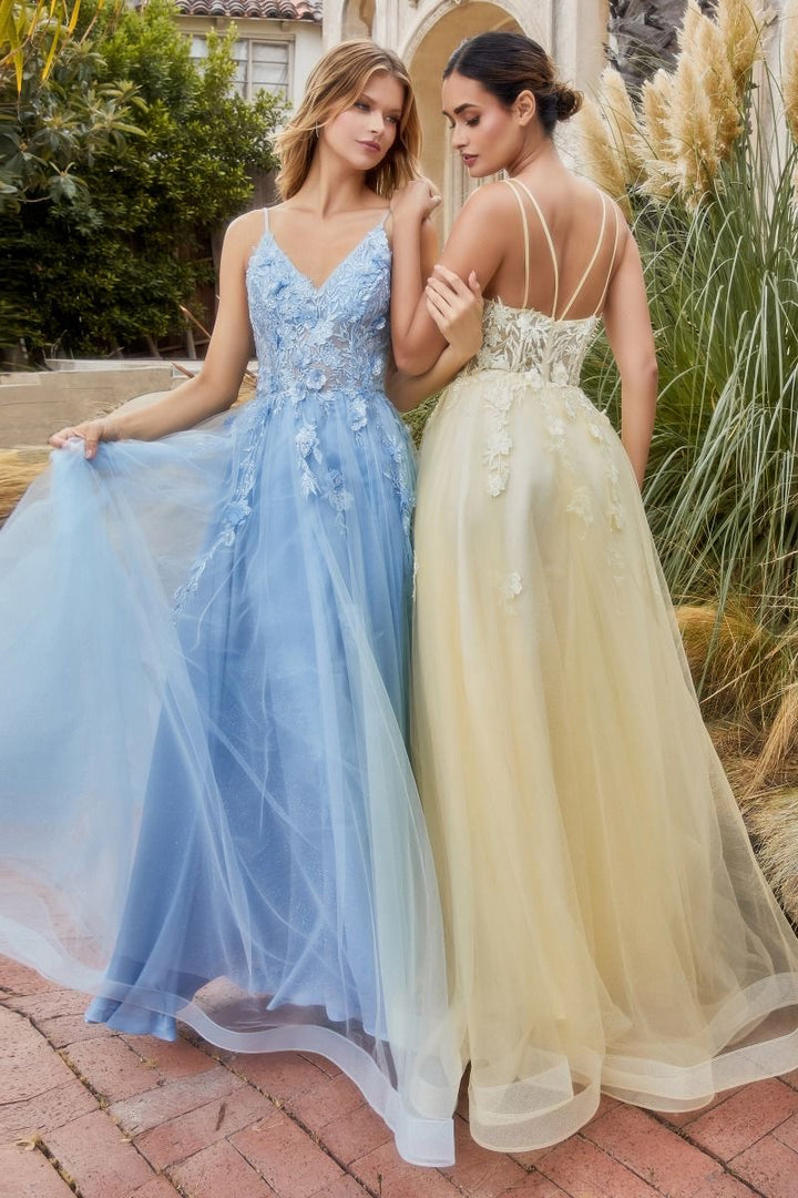 Alicia Floral Embroidery Tender V-neck Open Back A-line Long Prom & Bridesmaid Dress CDA1191