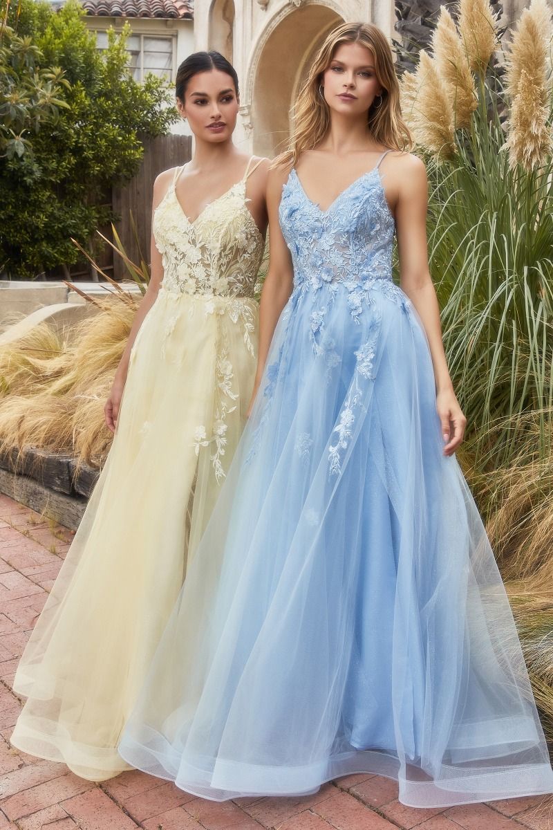 Alicia Floral Embroidery Tender V-neck Open Back A-line Long Prom & Bridesmaid Dress CDA1191