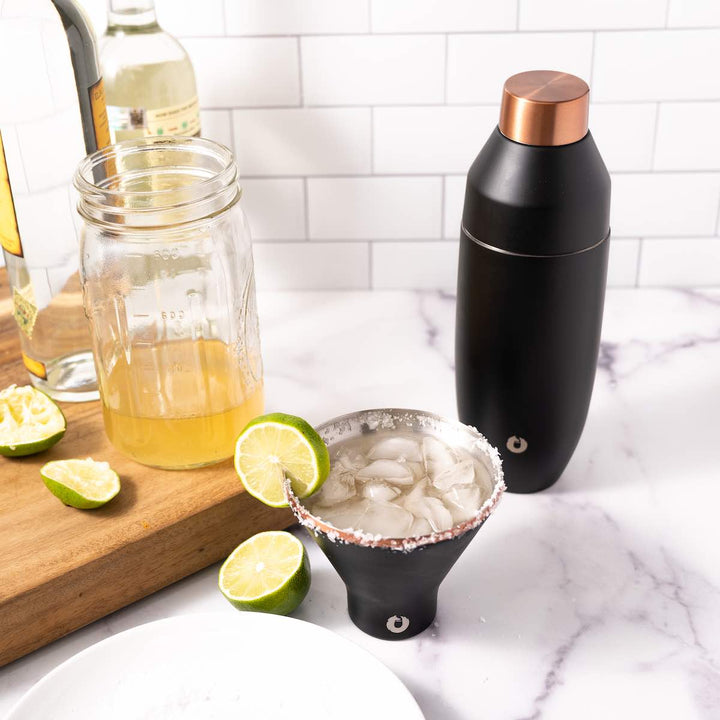 Stainless Steel Cocktail Shaker, Black by Snowfox