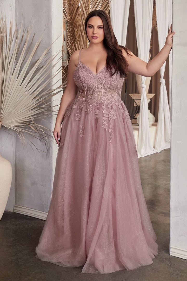 A-Line Lace & Tulle Sweetheart Embroidered Lace Plus Size Long Prom Dress CDC148C