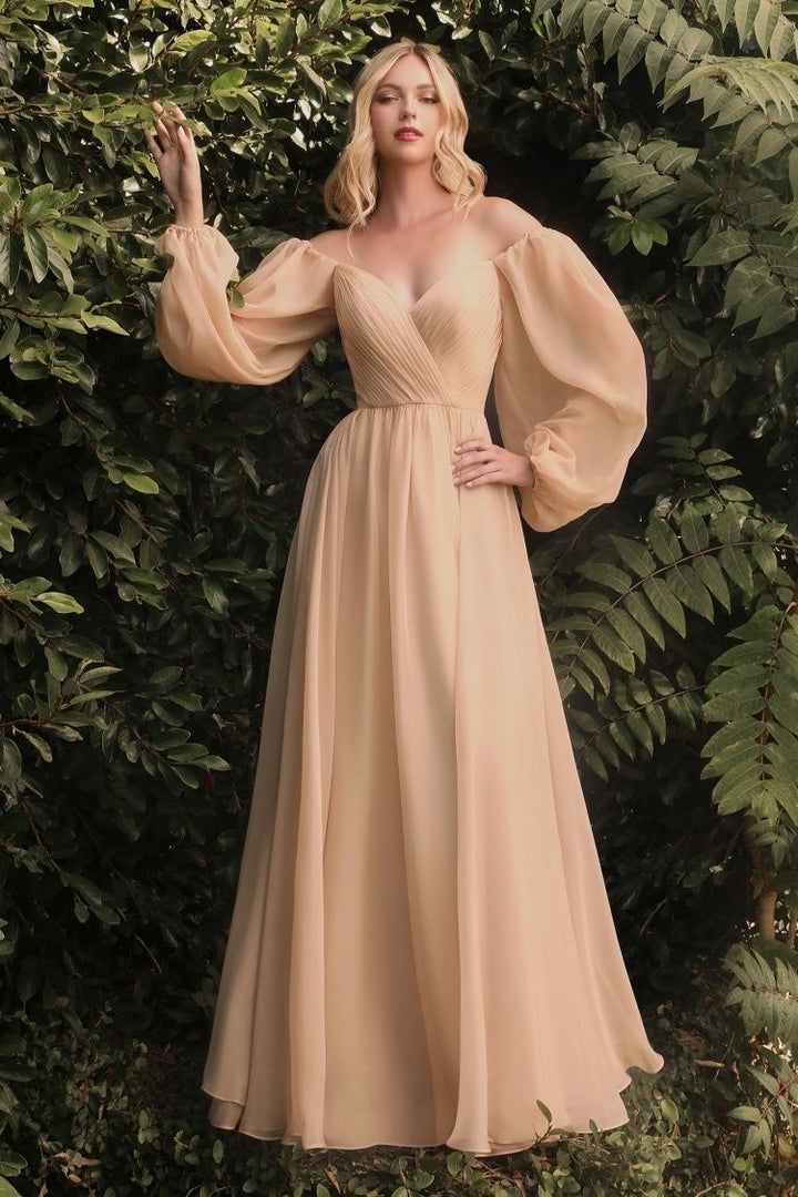 Chiffon A-line Long Sheer Sleeves On or Off Shoulder Neckline Long Prom & Evening Dress CDCD243