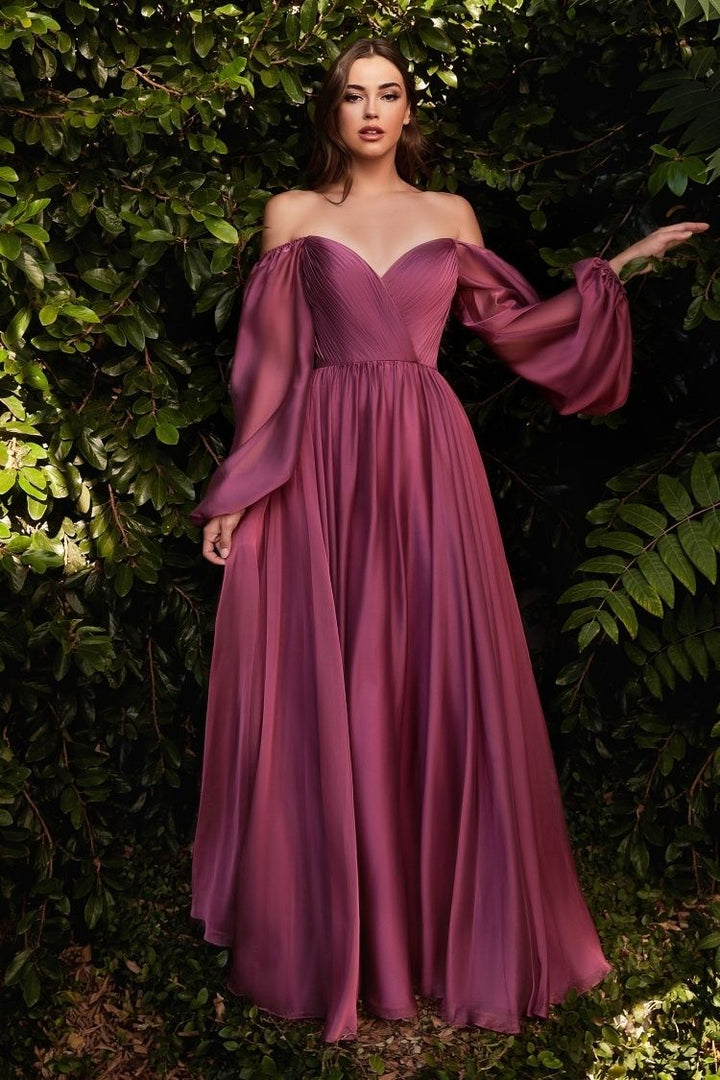 Chiffon A-line Long Sheer Sleeves On or Off Shoulder Neckline Long Prom & Evening Dress CDCD243