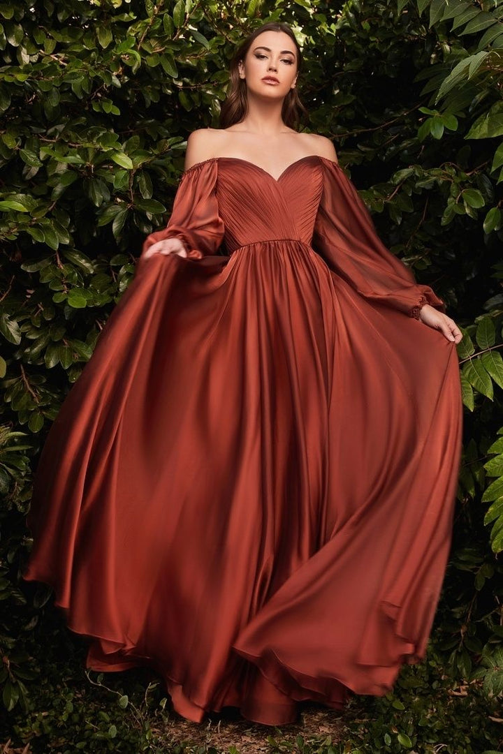 Chiffon A-line Long Sheer Sleeves On or Off Shoulder Neckline Long Prom & Evening Dress CDCD243