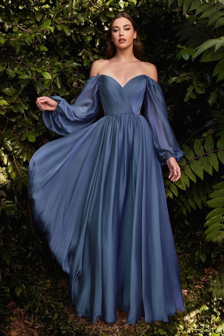 Chiffon A-line Long Sheer Sleeves On or Off Shoulder Neckline Long Prom & Evening Dress CDCD243