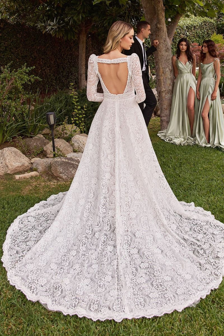 Embroidered Lace A-Line Removable Jacket Illusion V-Neck Long Wedding Dress CDCD862W