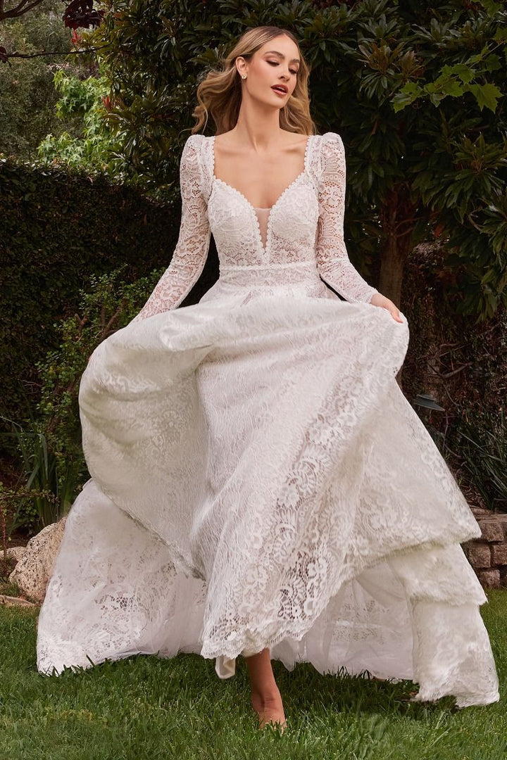 Embroidered Lace A-Line Removable Jacket Illusion V-Neck Long Wedding Dress CDCD862W