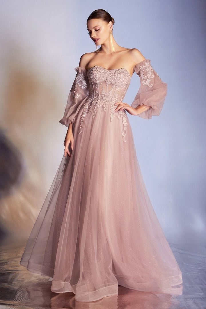 Corset Strapless Sheer Sweetheart Appliqué Laced Glittery A-line Long Prom & Ball Dress CDCD948